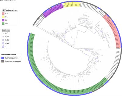 Molecular Epidemiological Characteristics and Risk Factors for Acquiring HBV Among Li Ethnic in Baisha County, Hainan Island-Subgenotype D3 Was First Discovered in China